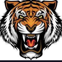 Tiger Security Services