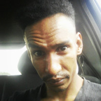 Joshua Lee Prins