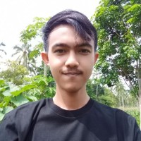 Muhammad Hilmi Hidayat