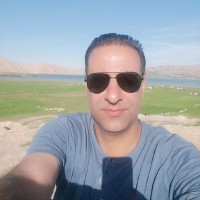 Mahmoud Najafi