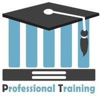 professional training