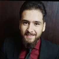 waleed shafik