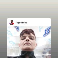 Tiger Nisha
