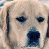 吴昌权