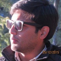 hussain ziauddin