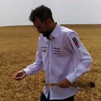 Eder Fernandes Alves