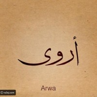 Arwa Saleh