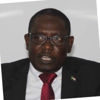 Mohammed Hassan Osman Al-Ta'Ishi