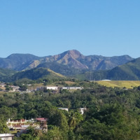 Marcos Melendez