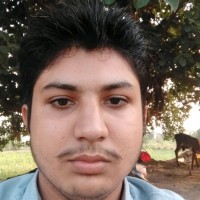 Hussain Ali Gujjar