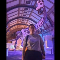 Colleen Wood Bsc (Hons)