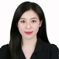 Thi Lan Anh Nguyen