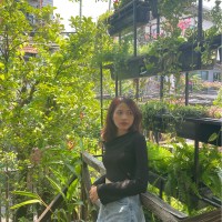 Lien Kim