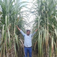 Ankur Choudhry