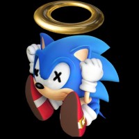 The Sonic Fan