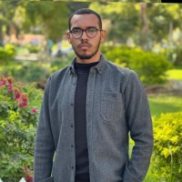 Ammar Ayman