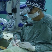 German A. Alvarez Cisneros