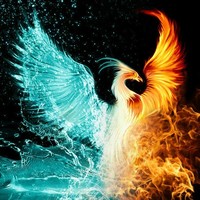 Phoenix Flash