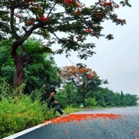 debasish singh
