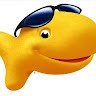 Finn The Goldfish