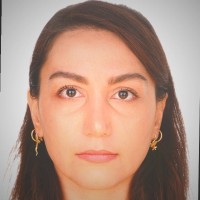 Elham Alizadeh