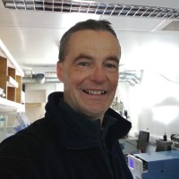 Warren Cairns