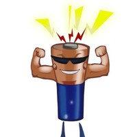 The Battery Guy Inc.