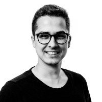 Janis Ludvigs Berzins-Berzitis