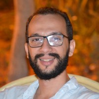 Mahmoud Elsisi