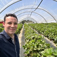 Juan Carlos Flores Rodríguez