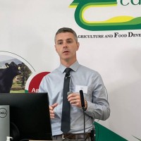 Noel Meehan