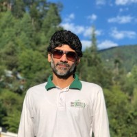 Haroon Zia