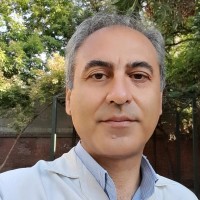 javad m