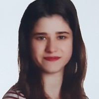 Elif İnce