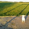 Cristi S