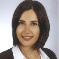 Bilge Cingillioglu