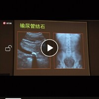 章海林