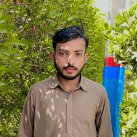 M Waseem Sajjad