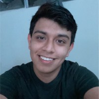 Luis Ortega