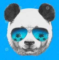 Panda Pandovich