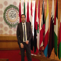 Hany Elsawy