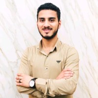 Mostafa Shams Eldin