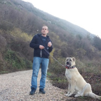 Samir Serbest