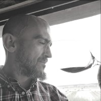 David Molina Vallejo