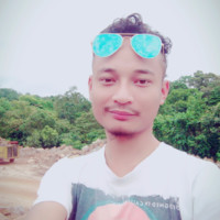 Human Swargiary