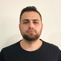 Ionut Niculae