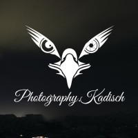 Fabian Kadisch