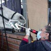 Evelyn Pichuante Vicencio