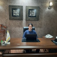 Behzad Shams