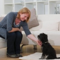 Bobs Broadbent ABTC-ATI